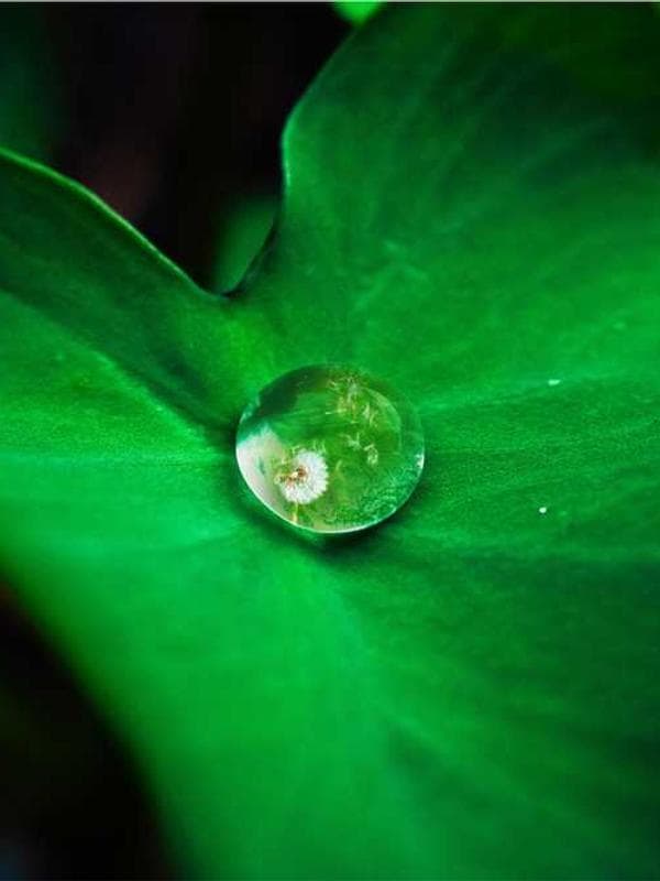 베이비갭 양말 블랙