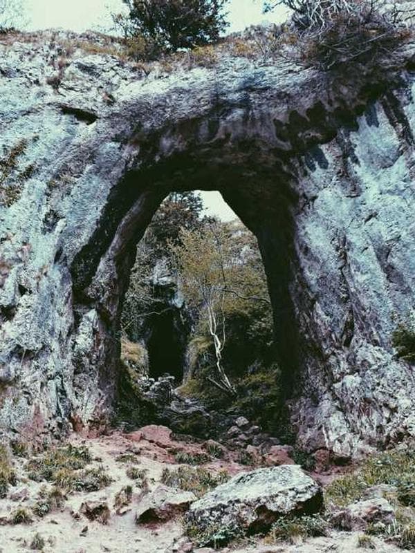 베이비갭 양말 블랙 이미지 3