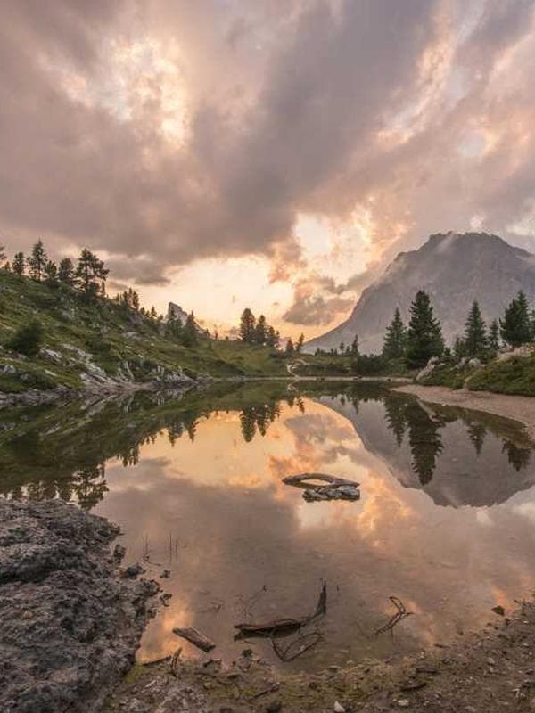 쁘띠엘린 점퍼 블루