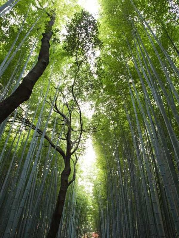 쁘띠엘린 점퍼 블루 이미지 4