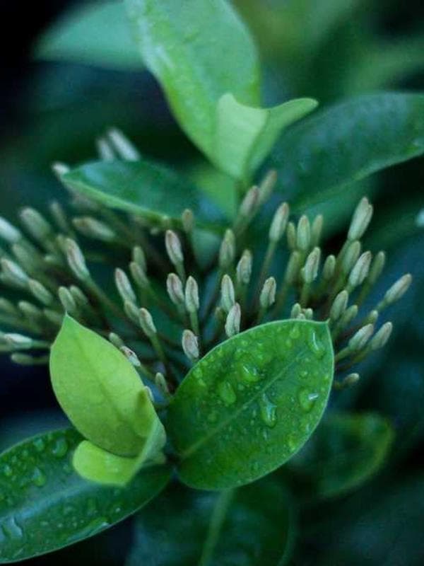 라바 바람막이 화이트