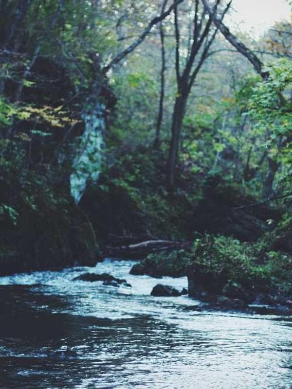 나이키키즈 스커트 옐로우