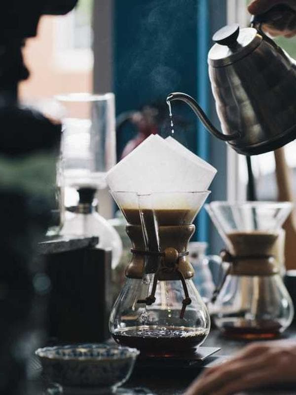 베베드피노 코트 레드