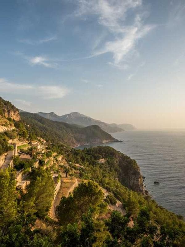 베베드피노 코트 레드 이미지 4