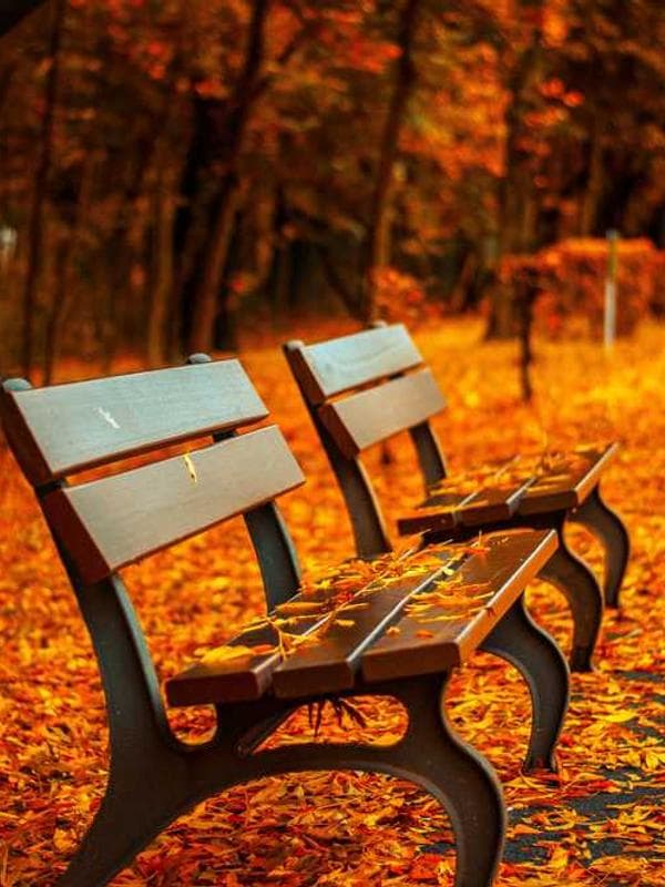 베베드피노 모자 블랙 이미지 2