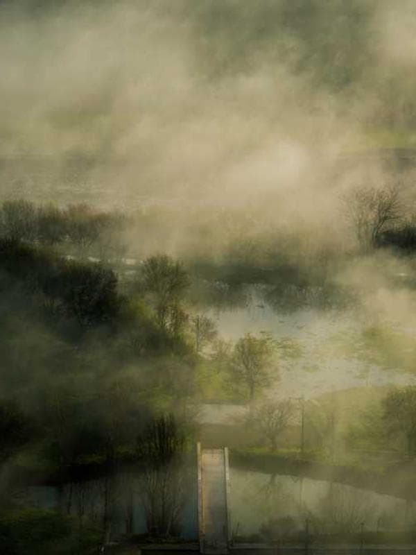 포코 코트 레드