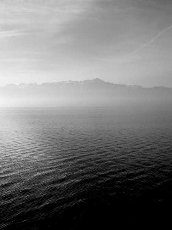 봉쁘앙 헤어핀 네이비