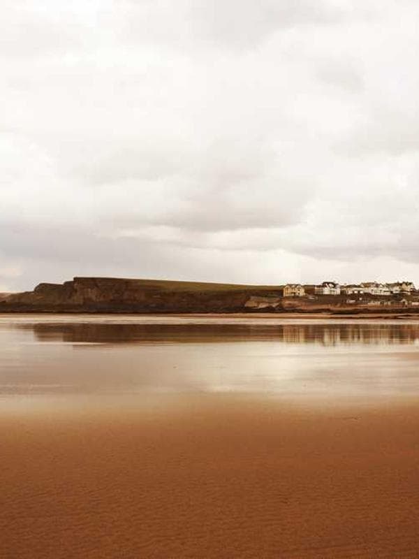 쁘띠엘린 니트 레드