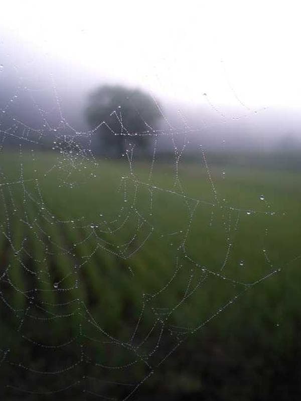 쁘띠엘린 니트 레드 이미지 2