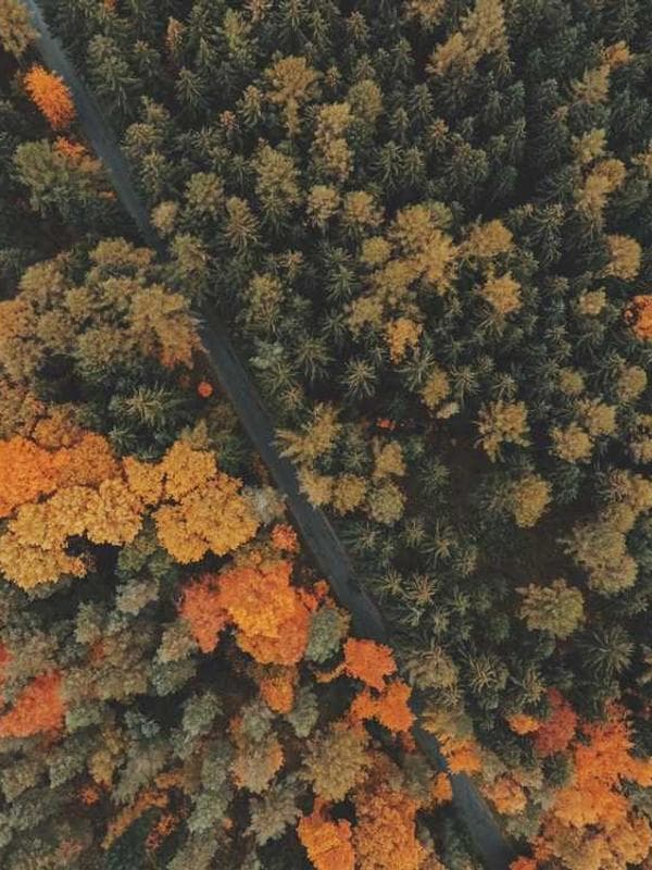 베이비갭 운동화 그레이 이미지 2