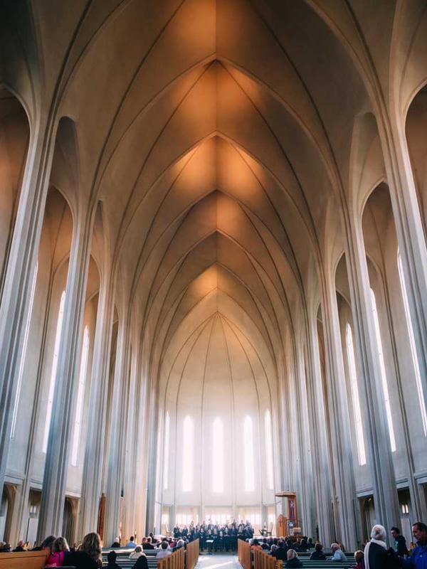 올리비에 헤어핀 화이트 이미지 3